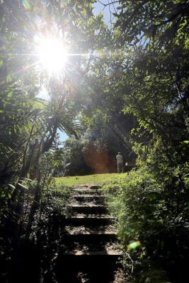 Las Fotos de la Semana en ElHeraldo.hn