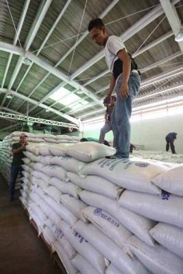 Honduras: IHMA mejora reservas de granos