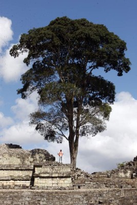 Encuentro ancestral con Los Mayas