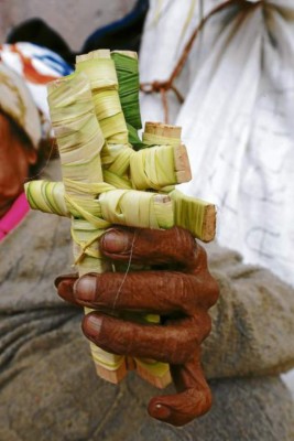 Feligresía católica de Honduras conmemora el Domingo de Ramos