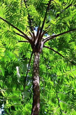 Las Fotos de la Semana en ElHeraldo.hn