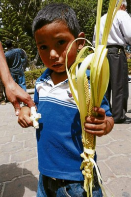 Feligresía católica de Honduras conmemora el Domingo de Ramos