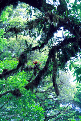EL HERALDO te premia en el Día de la Tierra