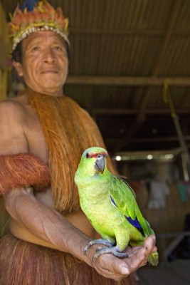 Un vistazo a la exótica selva del Amazonas