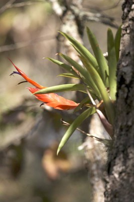 Las Fotos de la Semana en ElHeraldo.hn