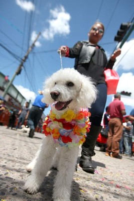 Las Fotos de la Semana en ElHeraldo.hn