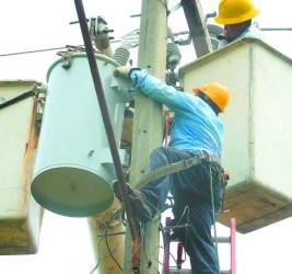 Las pérdidas por distribución son de alrededor de 90%.