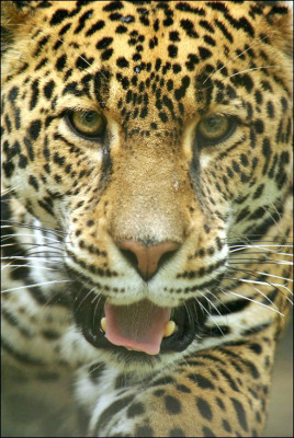 EL HERALDO te premia en el Día de la Tierra