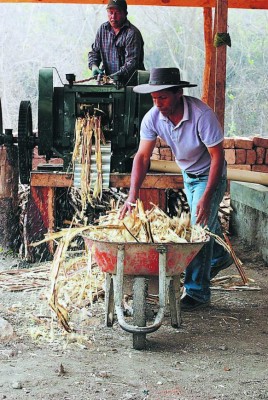 Panelas para endulzar la vida y cuidar el ambiente