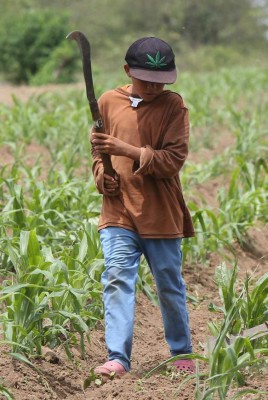 Niños y niñas volvieron a la escuela a construir su futuro