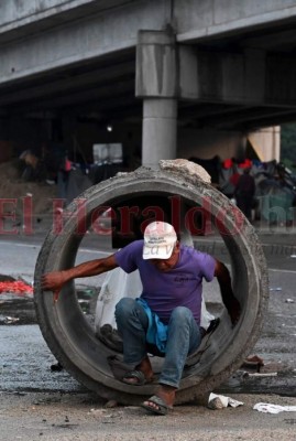 Bajo un puente y sin colchonetas, así pasan sus noches damnificados por Iota y Eta (FOTOS)
