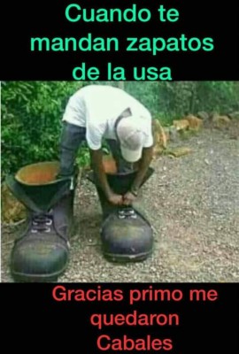 Los mejores chistes de la semana