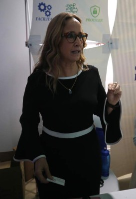 ¿Qué actividades pueden impulsar la inversión en el país?