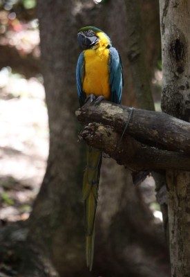 Intimidad con la naturaleza un sueño hecho realidad en Maya Key