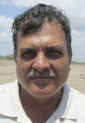 Reportan severos daños en el manglar del sector de Marcovia