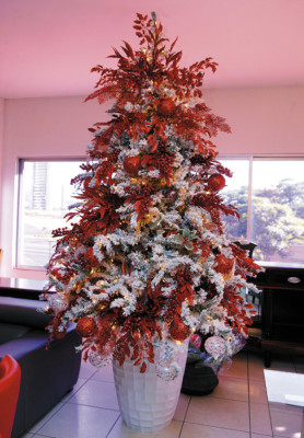 ¡A vivir una Navidad tricolor!