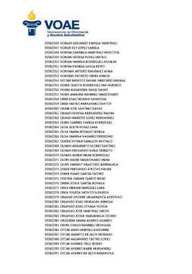 Tribunal Supremo Electoral emite el primer listado de pago de los Custodios Electorales