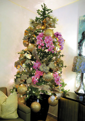 ¡A vivir una Navidad tricolor!