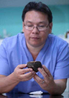 Las tortugas terrestres son mascotas que pueden vivir hasta 50 años