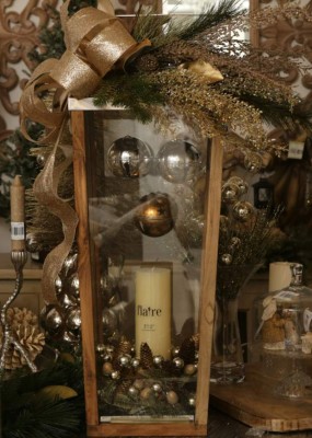 Bellotas que engalanan y ambientan su hogar&nbsp;&nbsp;