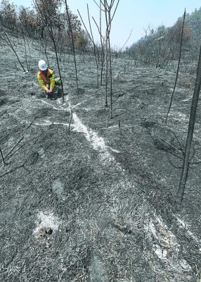 ¡Gracias por proteger a la madre naturaleza!