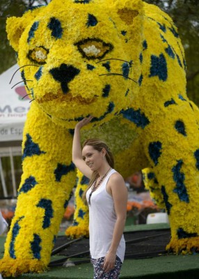 Medellín le rinde tributo a la naturaleza