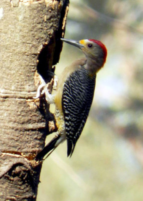 Fotos de los lectores para el Día de la Tierra