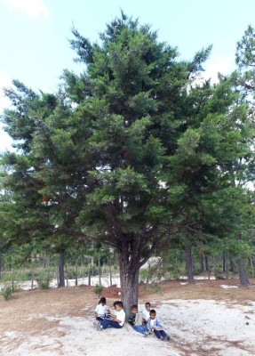 El Aguacatal recibió el Soli-Diario