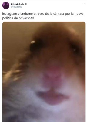 Los divertidos memes sobre el supuesto espionaje de Instagram