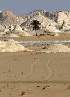Fuerzas egipcias matan por error a turistas mexicanos