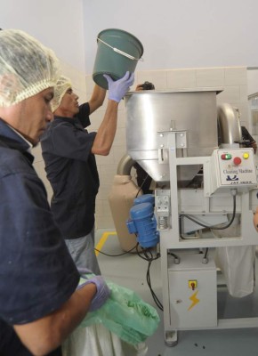 Xol, un chocolate con sabor ancestral