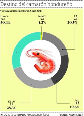 México mantendrá cerrado este año el acceso al camarón