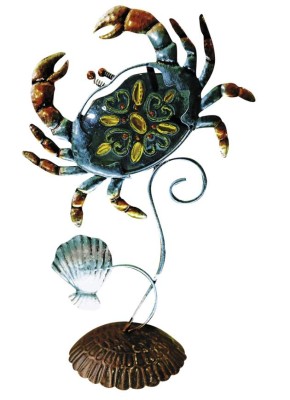 Lo que trae el mar...