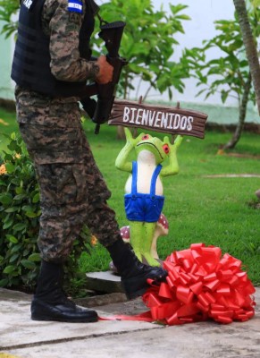 Honduras: Incautan 52 millonarias y lujosas propiedades a la familia Valle