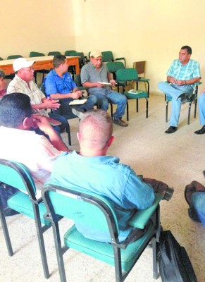 Alcaldes de Olancho declaran emergencia por daños en frijol