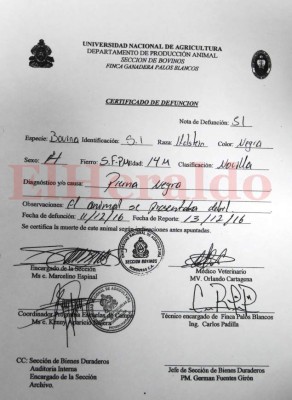 Más de medio millón gasta al mes la UNA en bienes incautados a los Amador