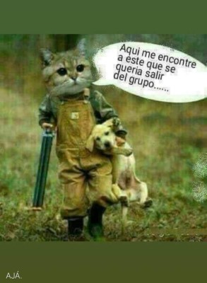 Los mejores chistes de la semana