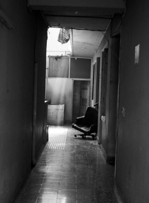 Daniela Lozano o la imagen como profecía