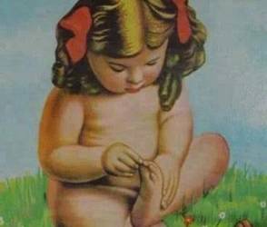 La Nigüenta llegó a Costa Rica a finales del siglo XIX, probablemente desde Europa, y de ahí a toda Centroamérica.