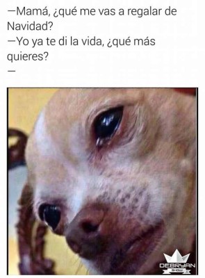 Los mejores, más irónicos y divertidísimos memes del 24 de diciembre