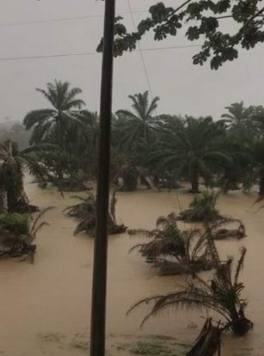 En imágenes: los daños que ya dejan las fuertes lluvias en la zona norte del país