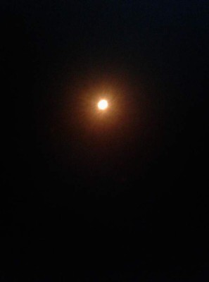 Así vivieron el eclipse solar los hondureños en Estados Unidos y el resto del mundo