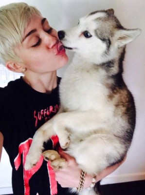 Miley Cyrus llora en concierto por la muerte de su perro
