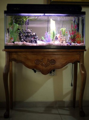 Acuariofilia, cuidado de los peces