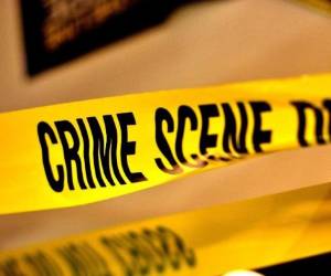 El crimen comenzó como una pelea por un cachorro.