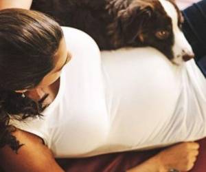 Mascotas en el embarazo, precauciones para la embarazada.