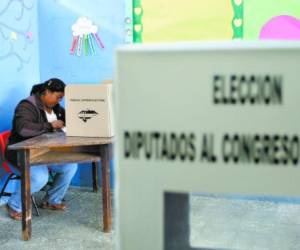 La voluntad del elector es un derecho universal que debe respetarse en las urnas y en las planillas.