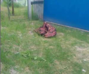 La mujer de entre unos 20 y 30 años de edad se encontraba envuelta en una sábana color rojo, de acuerdo a la información policial.