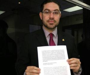 Diputados de Libre presentaron un recurso de inconstitucionalidad en contra del artículo 80 de la ley del Congreso Nacional (CN).