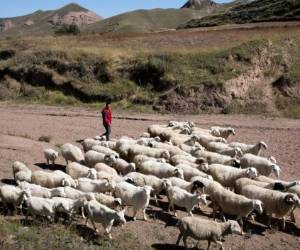 Muchas personas se vieron en la necesidad de ser trasladadas por el mal tiempo.
